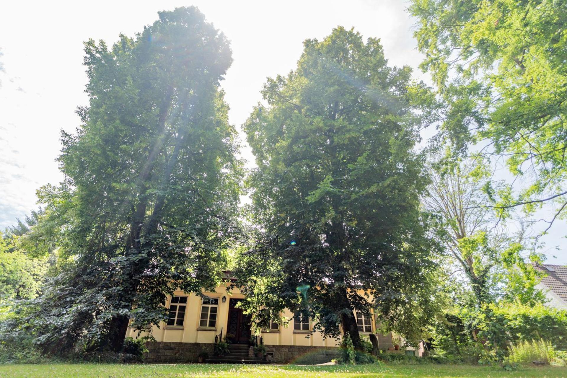 Villa Bergmann Münchberg Exterior foto